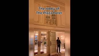 Central Park and The Plaza Hotel (from Home Alone 2) #homealone #newyork #plazahotel #centralpark