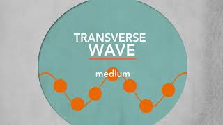Transverse Waves | Sci NC