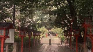 【京都】六孫王神社 境内の様子