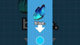 Why Is The Color Blue So Rare In Nature? 🤔 #shorts #viral