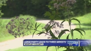 Whitley County party arrests