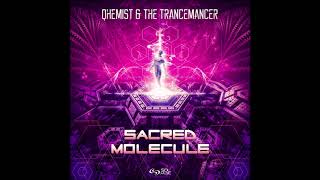 Qhemist \u0026 The Trancemancer - Sacred Molecule