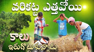 VARIKATTA ETTHAVOYI KALU IRUGOTTUKUNNADU | VILLAGE COMEDY VIDEO|CCKOTATALKS