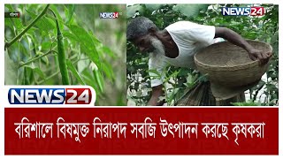 পরিবেশ বান্ধব কৌশলগত পদ্ধতি ব্যবহার করে বরিশালে সবজি চাষ | Barishal Vegetable | News24