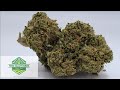 ( LIFTER ) CBD HEMP FLOWER FROM ( FERN VALLEY FARMS ) REVIEWS BY CBD SMOKE DOCTOR