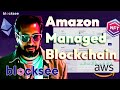 Blocksee Web3 CRM partners with AWS Managed Blockchain | Startup Loft NYC