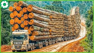 105 Extreme Dangerous Big Logging Wood Truck Driving Skill | Biggest Heavy Machinery Machines