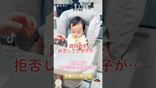 【生後11ヶ月17日】離乳食を食べなかったソラ君👶 #ソラ君 #赤ちゃん #11ヶ月 #shortvideo #shorts #baby #育児 #可愛い #子育て #孫 #可愛い #離乳食拒否