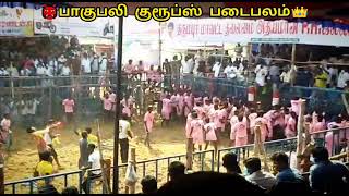 Salem Bahubali group's nanbarkal jallikattu WhatsApp status