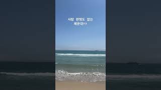 해운대 요즘 사람이 없다고???과연…#shorts