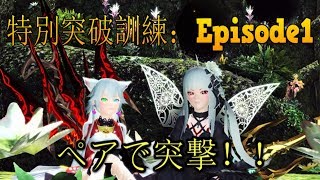 【PSO2】初日でペア突撃！特別突破訓練：Episode1　タイム３分４５秒　刀マン視点