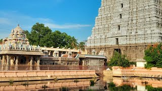 Theni 🔁Thiruvannamalai mini vlog in Tamil #thiruvannamalai #thiruvannamalaitemplefestival #vlog