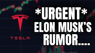 *URGENT* Elon Musk Buying Tik Tok?! | Tesla Stock.....