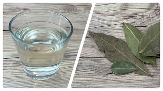 Bay Leaf Tea: The Benefits \u0026 Uses