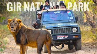 Gir National Park Safari | Gir Safari Booking Guide