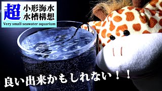 小型海水水槽本体を作ってみたら意外と良くできた！【小型海水水槽】