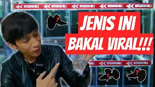 REVIEW JENIS GUPPY YANG DIBURU PARA SULTAN