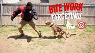 Bite Work Targeting