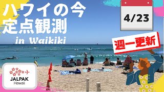 【ハワイの今】ワイキキ定点観測  2024年4月23日