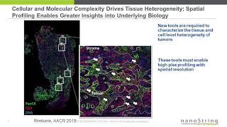 Characterizing the role of B cells in Response to Immunotherapy with the NanoString GeoMx Platform