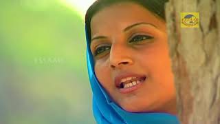 അകലെ അകലെ പള്ളി മിനാരം akale akale palli minaram sujatha video songs