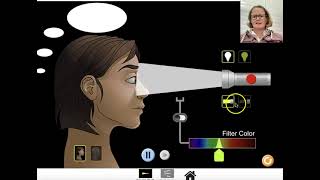 Colour Vision Phet simulation