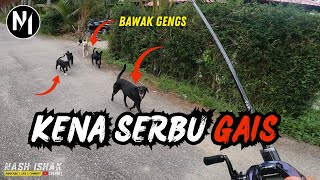 TURUN BAGAN DATOK CARI 2 SPESIS IKAN | Vlog83 #casting #haruan #ikanbulan #bagandatuk