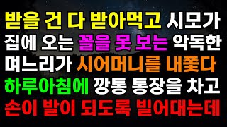 [사이다 사연] 받을 건 다 받아먹고 시모가 집에 오는 꼴을 못 보는 악독한 며느리가 시어머니를 내쫓다 하루아침에 깡통 통장을 차고 손이 발이 되도록 빌어대는데