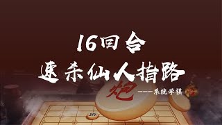 16回合速杀仙人指路