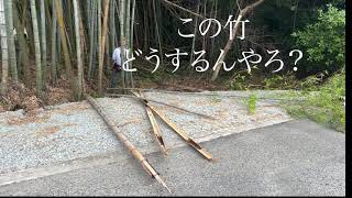 15.夫婦で京都みたいな竹林を作ろう！アルティジャーナロッソ