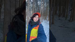 Tracking Animal Tracks #japan #nature #rawruraljapan #countryside #selfsufficient