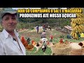 PEQUENO SÍTIO SUPER PRODUTIVO DO DÉCO - TRÊS BARRAS - MG