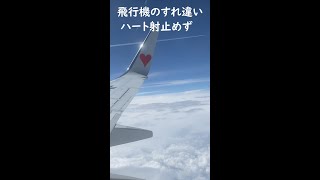 飛行機のすれ違い　ハート射止められず