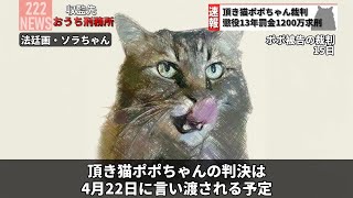 「頂き猫ポポちゃんの裁判」「猫警察署内の押収品でハイに」「格闘技大会出場猫が土下座」【過去動画】