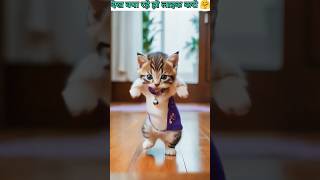 Tinga Tinga nanga punga dost cat dance#shorts