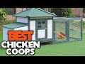 Best Chicken Coops Review in 2023 - best chicken coops buying guide [top 5 chicken coops to buy]✅✅✅