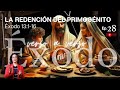 [#28] La REDENCIÓN👳‍♀️del Primogénito [Las 👆 PRIMICIAS son de Dios] [Éxodo 13:1-16]