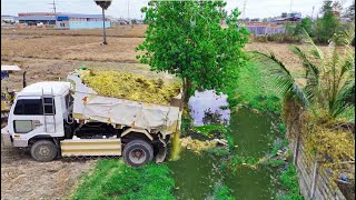 Start New Project!Use Dump Truck Filling Land Delete Canalwater,Bulldozer KOMATS'U D21P Pushing Soil