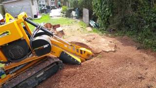 Stump grinding Predator 38x