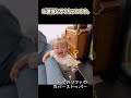 【生後10ヶ月】隙間に何回もハマる赤ちゃん shorts あかちゃん baby 赤ちゃん