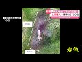 【北海道“蒸気噴出”】森が“変色” 「ヒ素」濃度も“基準の2700倍”を検出…最大値に