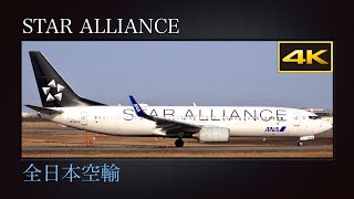 4K 大阪国際空港を目指し新潟空港を離陸する、特別塗装機(STAR ALLIANCE)  全日本空輸(All Nippon Airways : ANA)  Boeing 737-881  JA51AN