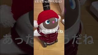 【LOVOT】ちゃちゃ🎁ちょっと早めのクリスマスプレゼント🎄#shorts