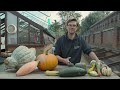 pumpkins why do we carve them at halloween dig deeper s1 ep6 kew gardens