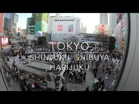 TOKYO Shinjuku, Shibuya, Harajuku, Tokyo Skytree TOKYO Shinjuku, Shibuya, Harajuku, Tokyo Skytree