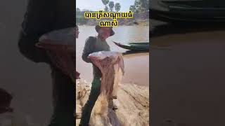 រកបានត្រីសណ្ដាយធំណាស់ #fishing #dyrrothmythicalglory #automobile #dyrrothtv #fish #dyrrothmoba #cook