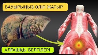 БАУЫРДЫҢ ӨЛІП ЖАТҚАНЫНЫҢ БЕЛГІСІ/БАУЫР АУРУЛАРЫНЫҢ ЕҢ АЛҒАШҚЫ БЕЛГІЛЕРІ /СІЗ БІЛМЕЙТІН СҰМДЫҚТАР