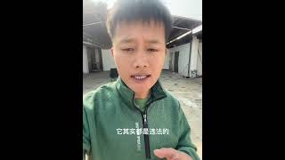 吃狗肉到底合不合法，很多人都不知道其实吃狗肉开狗肉馆都是违法的（特殊地区除外）流浪狗救助 狗肉 毛孩子的日常