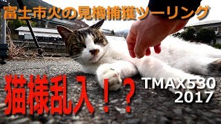 【TMAX530 2017】富士市の火の見櫓捕獲ツーリング【猫様乱入画像付き】