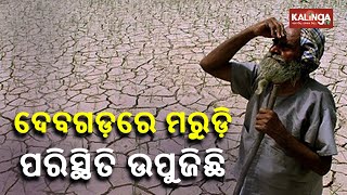 Deogarh District Congress President Visits Drought Hit Areas In The District || KalingaTV